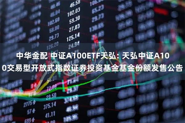 中华金配 中证A100ETF天弘: 天弘中证A100交易型开放式指数证券投资基金基金份额发售公告