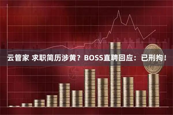 云管家 求职简历涉黄？BOSS直聘回应：已刑拘！