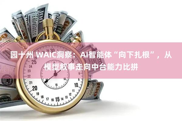 园十州 WAIC洞察：AI智能体“向下扎根”，从模型叙事走向中台能力比拼